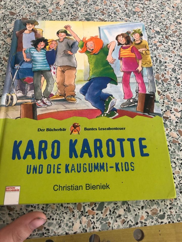 Kinderbücher 17 Stück in Herxheim bei Landau/Pfalz