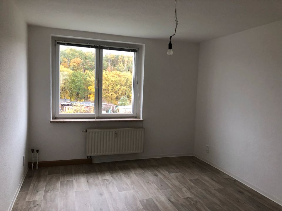 3-Raumwohnung (56qm) mit Garage zur Miete in Zschopau