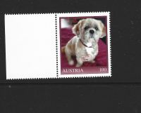 Österreich PM 8141043 (2022) Lhasa Apso Leo, 5. Marke Güstrow - Landkreis - Bützow Vorschau