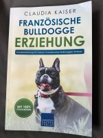 Französische Bulldogge Erziehung , Claudia Kaiser Neuhausen-Nymphenburg - Nymphenburg Vorschau