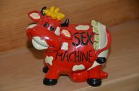 Sex Machine Spardose, Spaßgeschenk, wundervoll, vgl. Fotos! Baden-Württemberg - Reutlingen Vorschau