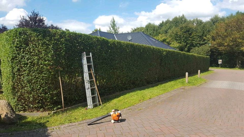 Laubbeseitigung, Baumschnitt, Hecke schneiden, Gartenarbeiten in Neu Wulmstorf