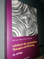 Lehrbuch zur systematischen Therapie und Beratung Schlippe Berlin - Pankow Vorschau