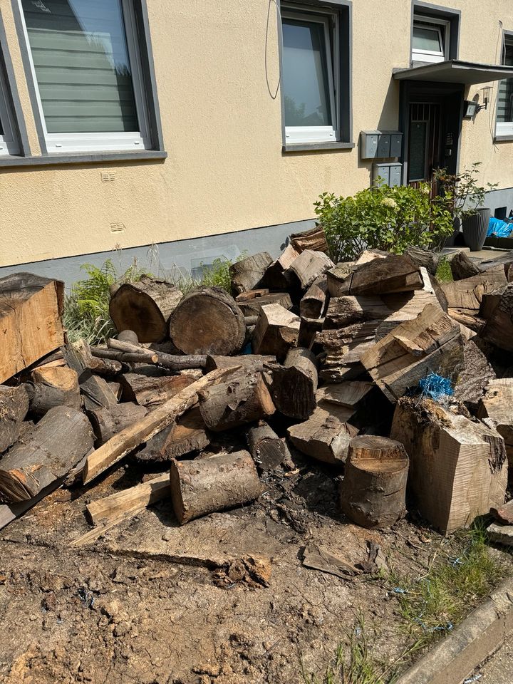 Brennholz Eiche Kaminholz in Witten