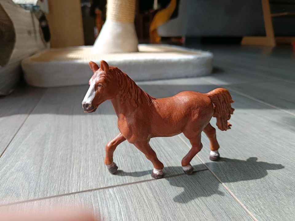 Schleich pferde / fohlen Spielzeug Figuren Spiel in Vestenbergsgreuth