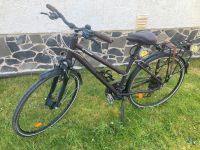 Damen Alu Trekkingrad - Fahrrad 28“/28 Zoll Aubergine matt Hessen - Alsfeld Vorschau