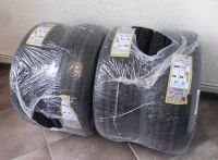 4St.Winterreifen Minerva 205/55 R17 95V NEU Kostenloser Versand Hessen - Kassel Vorschau