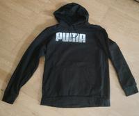 Puma Pullover, neuwertig Brandenburg - Teltow Vorschau