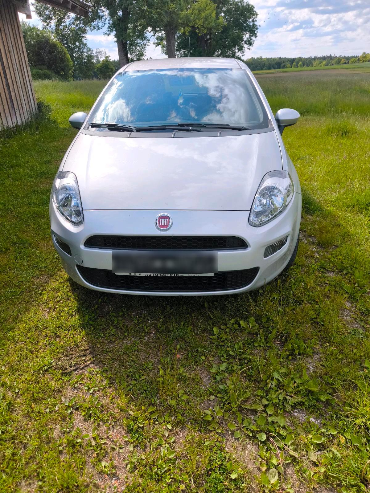 Abbildung des Autos Fiat Punto Evo  1. Hand …