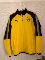 Borussia Dortmund Einlaufjacke, BVB Bayern - Schauenstein Vorschau