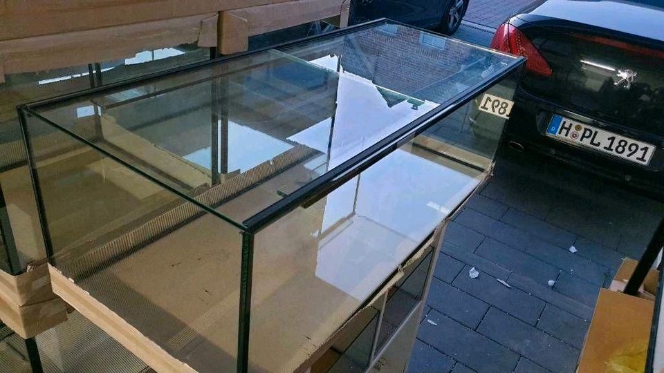 150x50x40 Aquarium 300l Axolotl Malawi Meerwasser Riff NEU in Bad Nenndorf