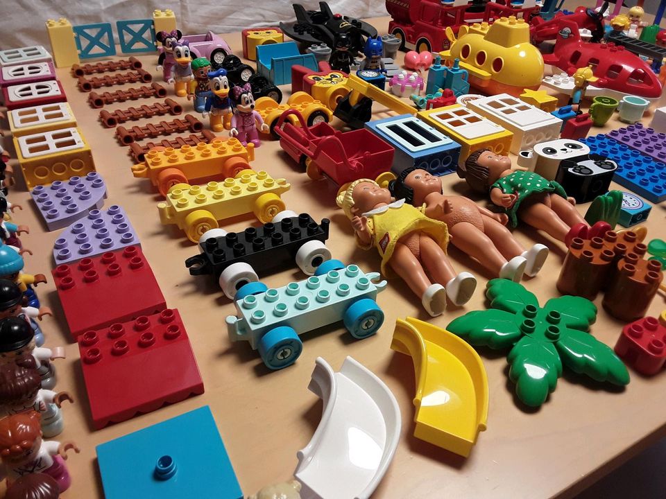 Lego Duplo Konvolut in Tuningen