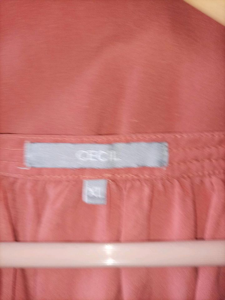 Bluse XL Cecil rosa in Stade