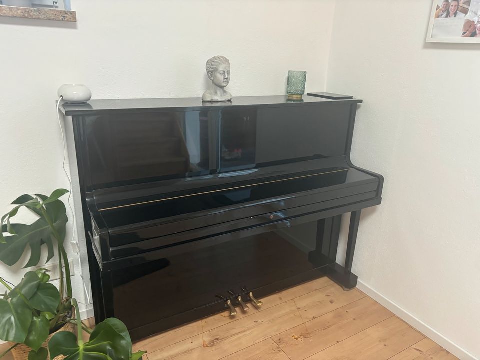Hohner Piano 116 in Schwarz Hochglanz in Beratzhausen