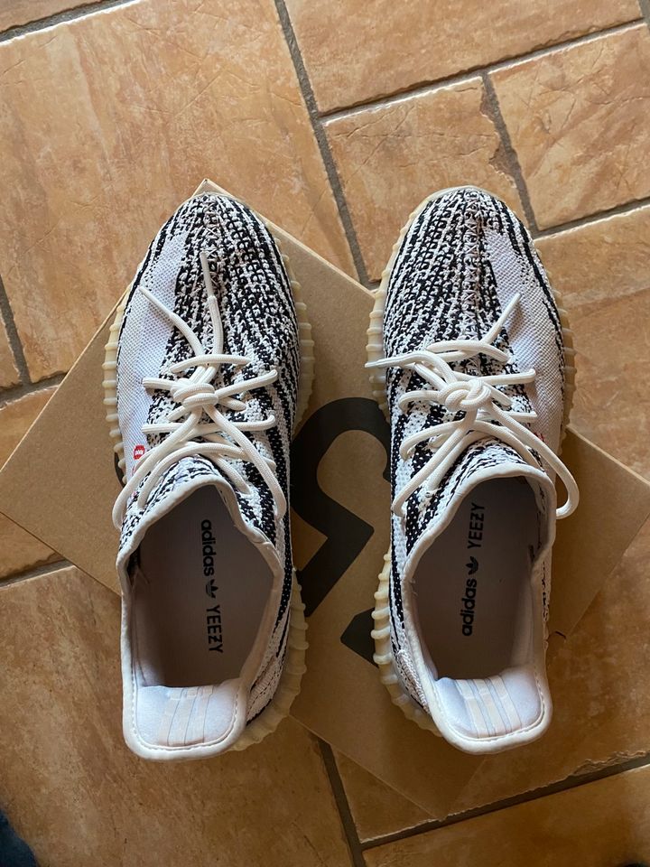 Adidas Yeezy Boost 350 Zebra Größe 46 2/3 US 12 in Neubrandenburg