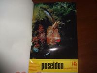 poseidon 1974 gebundene Ausg. Nr.145-146,148-156 DDR Tauchsport Brandenburg - Fredersdorf-Vogelsdorf Vorschau