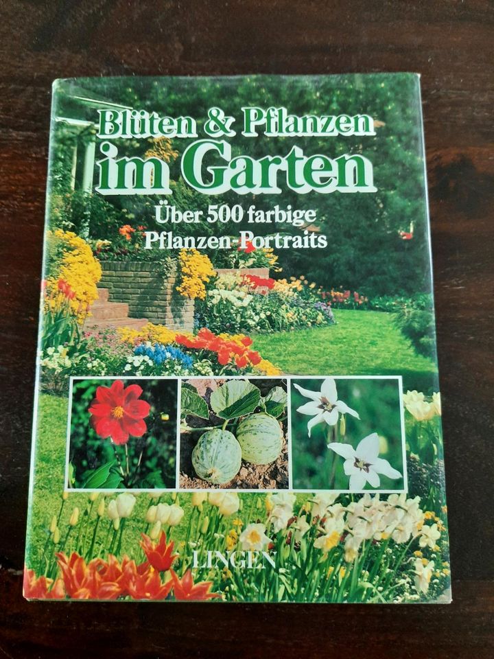 6 Gartenbücher Bücher Garten Pflanzen Blumen Kräuter Rasen in Gudow