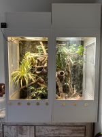 Terrarium Kunststoff Bayern - Freilassing Vorschau