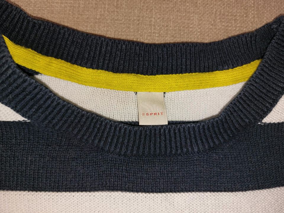 Pullover Esprit 164 in Kaisheim