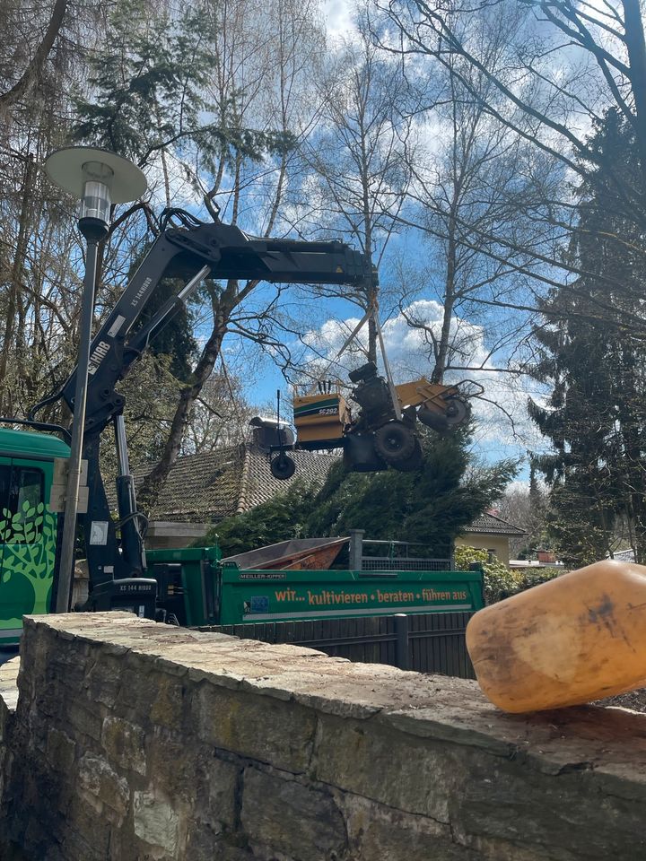 Baumstumpf entfernen, Stubben fräsen, Wurzel fräsen, Baumfällung in Freigericht