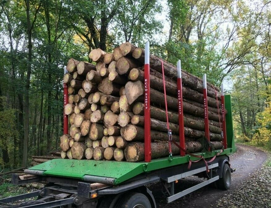 Abrollplattform für Rundholztransport 2 Stück auf Lager in Halberstadt