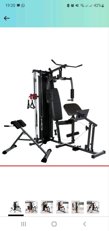 Trainingsstation Hammer Ferrum TX4 in Waldshut-Tiengen