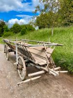 Leiterwagen/Pferdekutsche Baden-Württemberg - Calw Vorschau