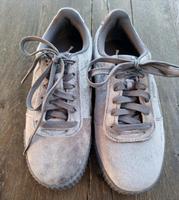 Puma Sneaker grau samt Gr.4,5 Neu! Baden-Württemberg - Filderstadt Vorschau