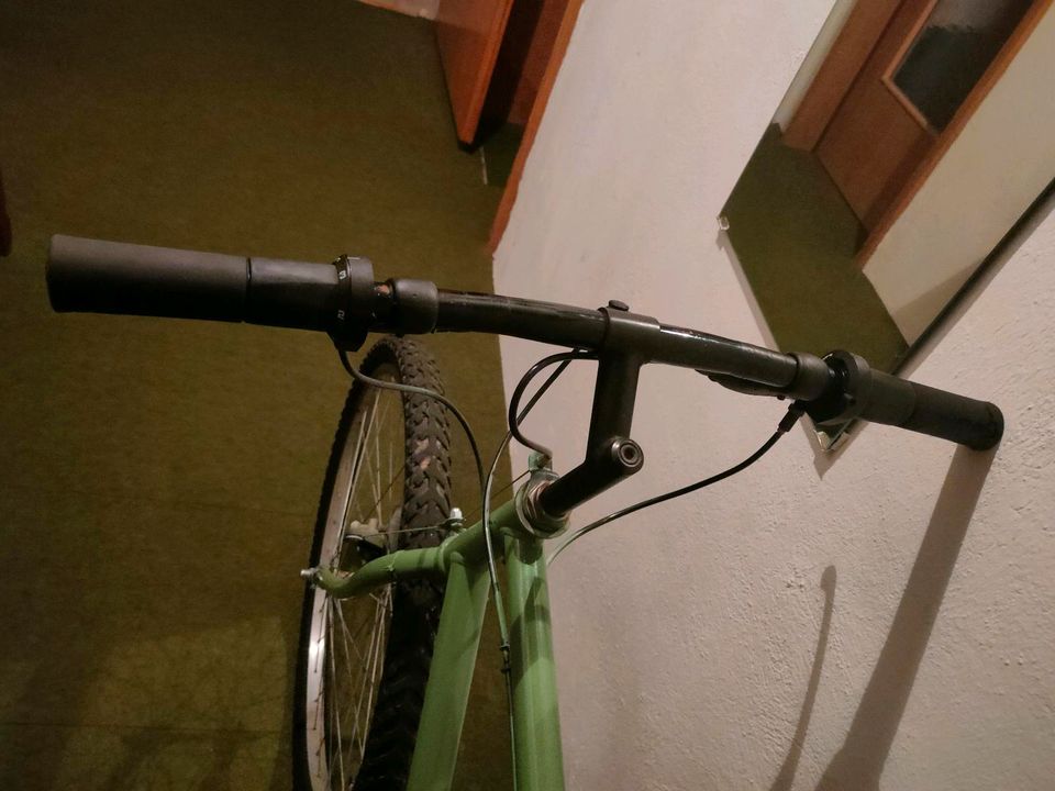 Grünes Fahrrad 26 Zoll, seit einem halben Jahr abgenutzt in Kastellaun