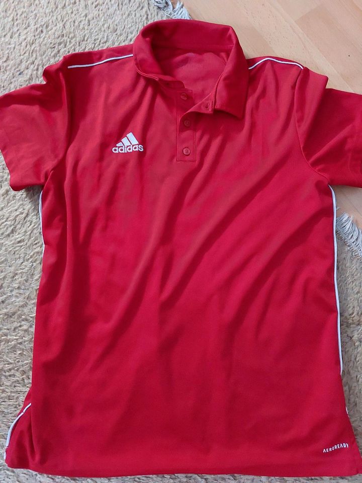 Adidas Poloshirt Herren M neu in Filderstadt