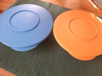 Tupperware Dosen Junge Welle 400ml Sachsen - Netzschkau Vorschau