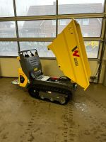 Wacker Neuson DT05 Kettendumper Raupendumper Niedersachsen - Gehrde Vorschau