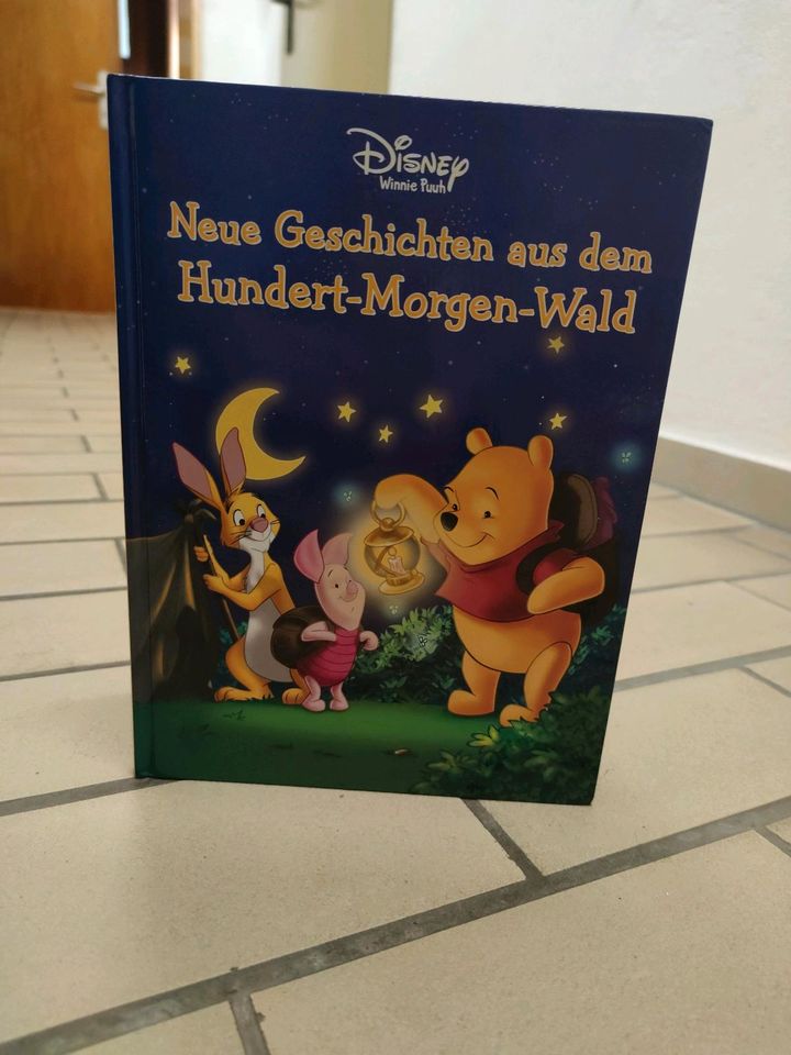 Winnie Puh Geschichten aus dem Hundert Morgen Wald in Lamspringe