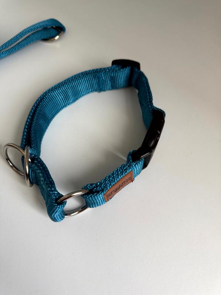 KOCH Premium Zugstop-Halsband M + passende Stadtführhundeleine in Reichenbach (Vogtland)
