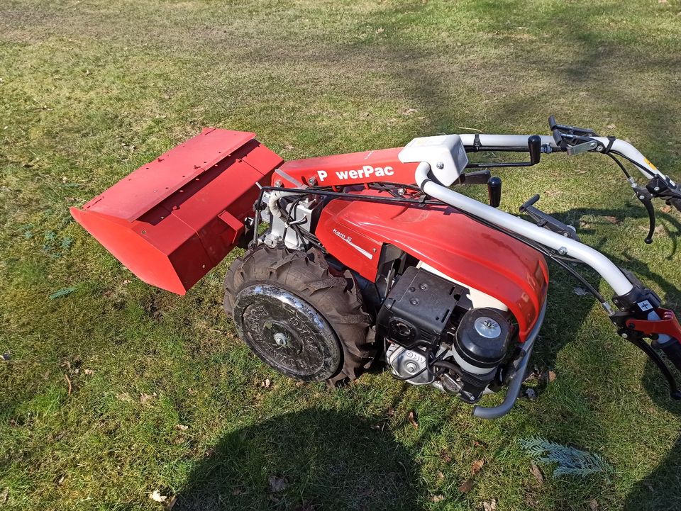 Garten Gestalten Hecke Rasen Fräsen Schneiden Mähen Haus in Wentorf