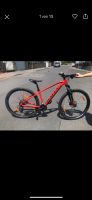 Fahrrad scott Mountainbike Hessen - Lorch Vorschau