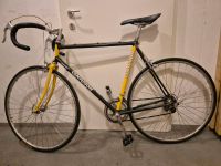 Fahrrad Rennrad Vintage Bayern - Freilassing Vorschau
