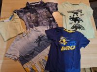 T-Shirts Minons/Dinosaurier/Camp David Nordrhein-Westfalen - Greven Vorschau