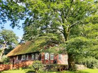 Historischer Fachwerk-Hof inmitten idyllischer Natur Niedersachsen - Eydelstedt Vorschau