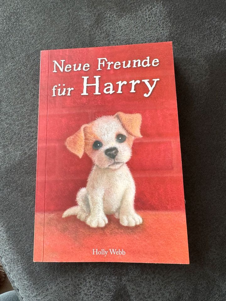 Kinderbuch Neue Freunde für Harey, Holly Webb in Friedberg (Hessen)