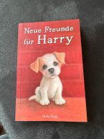 Kinderbuch Neue Freunde für Harey, Holly Webb Hessen - Friedberg (Hessen) Vorschau