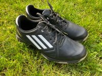 Adizero Golfschuhe fast neu Größe 42 Sachsen-Anhalt - Halle Vorschau