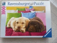 Originales Ravensburger Puzzle (1000 Teile) Bielefeld - Ubbedissen Vorschau