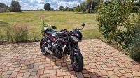 TOP gepflegte Triumph Street Triple R Sachsen - Torgau Vorschau