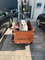 Babboe Dog-E 7V 500Wh *30km* inkl. Kinder set Bayern - Kahl am Main Vorschau