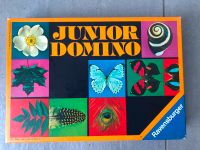 Spiel Junior Domino Rheinland-Pfalz - Ludwigshafen Vorschau