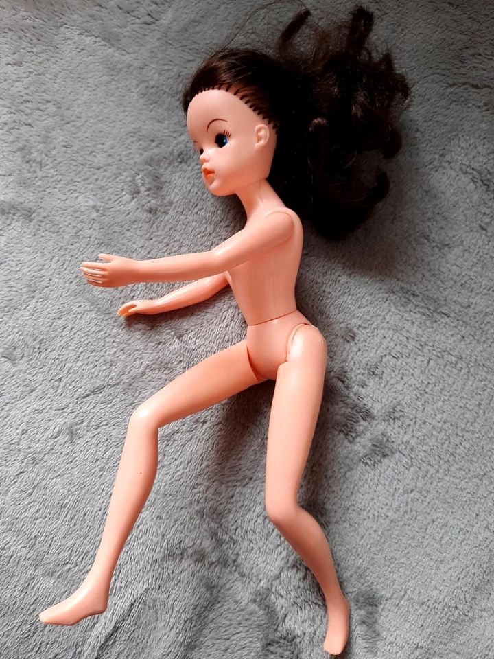 Barbie, Petra, verschiedene (die v.Foto 1 und 2 verkauft) in Remagen