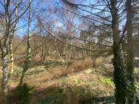 idyllisches Grundstück am Wald für Ihr Traumhaus Brandenburg - Hoppegarten Vorschau