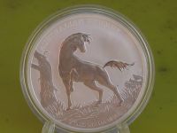 "Australian Brumby" 2022 - 1oz 9999 Silber - TOP - Gekapselt Nordrhein-Westfalen - Sassenberg Vorschau