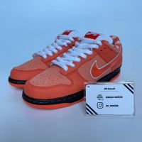 Nike SB Dunk Concepts Orange Lobster • Größe 44 | Händler ✅ Friedrichshain-Kreuzberg - Kreuzberg Vorschau